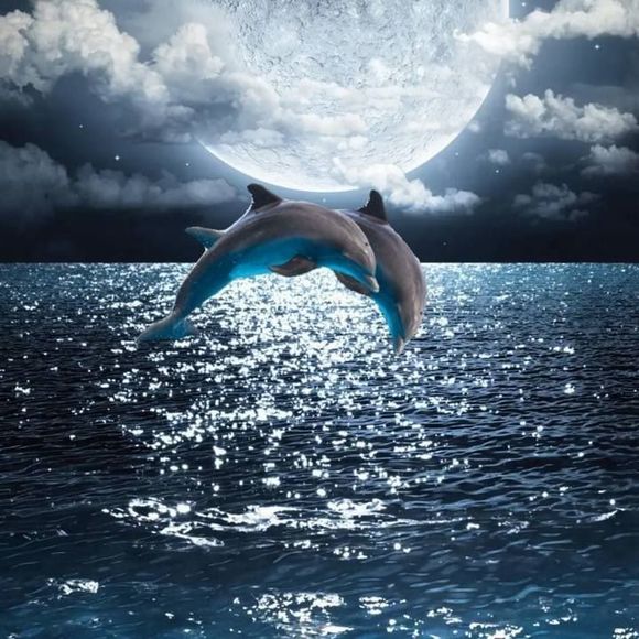 Meet your Posher, Christa - Picture 1 of 1